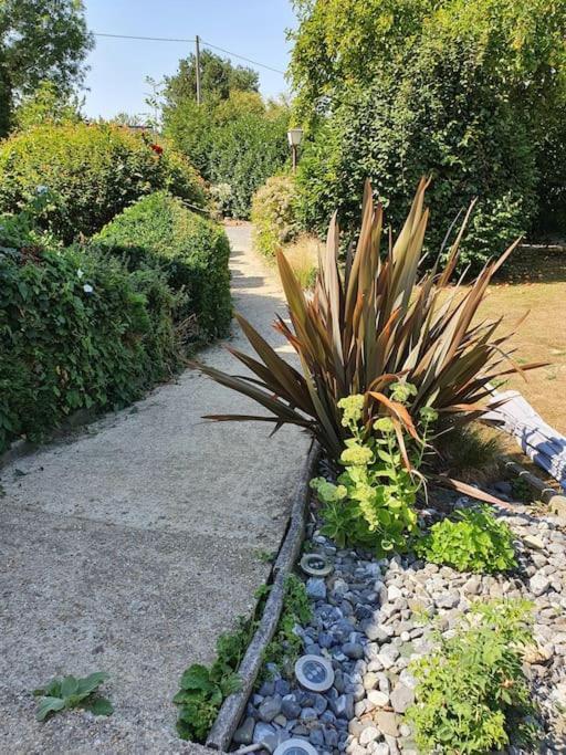 Vila La Mare Aux Chevres Reux Exteriér fotografie
